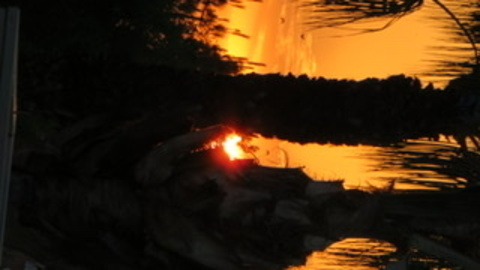 mylfnschaekzzz OnlyFans - Free Access to 32 Videos & 49 Photos Onlyfans Free Access