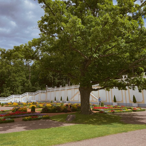 myrmyrdi OnlyFans - Free Access to 32 Videos & 49 Photos Onlyfans Free Access