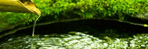 nadeshikoedging OnlyFans - Free Access to 149 Videos & 49 Photos Onlyfans Free Access