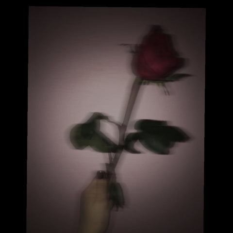 nekitech OnlyFans - Free Access to 32 Videos & 49 Photos Onlyfans Free Access