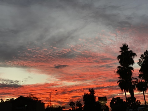 nikkijamaicanmehappy OnlyFans - Free Access to 32 Videos & 49 Photos Onlyfans Free Access