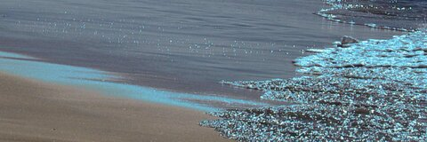 nohemiblu OnlyFans - Free Access to 32 Videos & 49 Photos Onlyfans Free Access