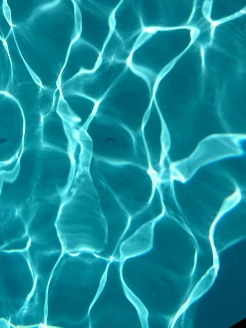 notsoshyx OnlyFans - Free Access to 32 Videos & 49 Photos Onlyfans Free Access