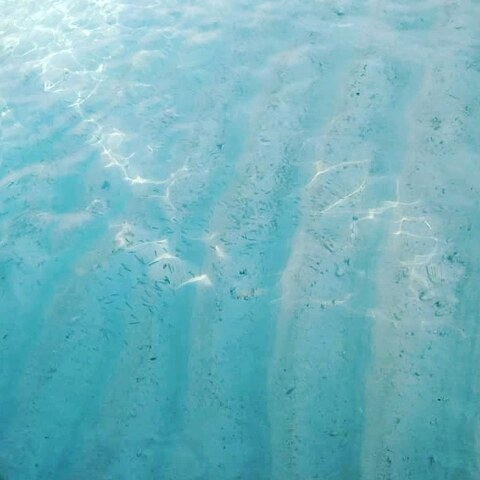 nyana OnlyFans - Free Access to 32 Videos & 49 Photos Onlyfans Free Access