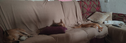 octubreazul OnlyFans - Free Access to 32 Videos & 49 Photos Onlyfans Free Access