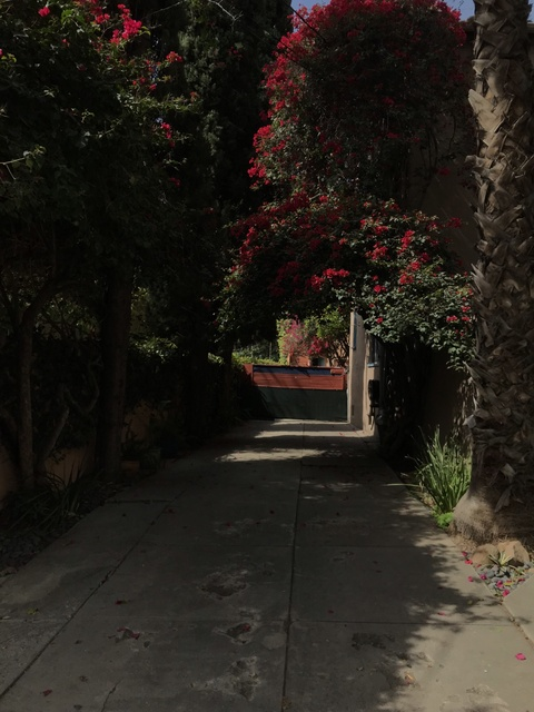 onlydella OnlyFans - Free Access to 32 Videos & 49 Photos Onlyfans Free Access