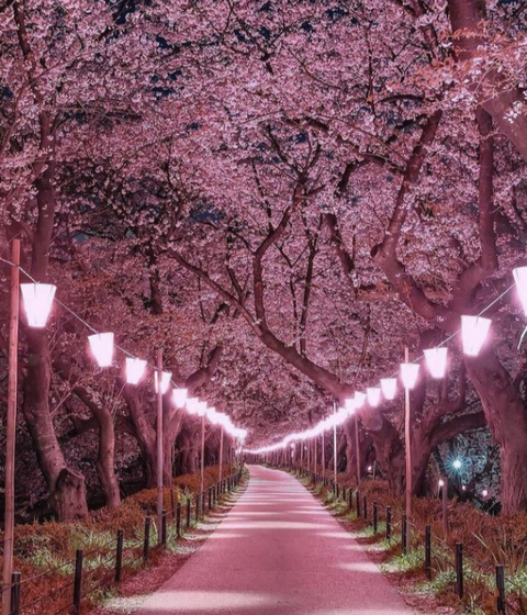 papitarzan OnlyFans - Free Access to 32 Videos & 49 Photos Onlyfans Free Access