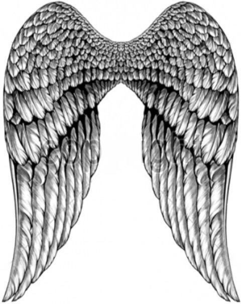 pearlxoxo1 OnlyFans - Free Access to 32 Videos & 49 Photos Onlyfans Free Access