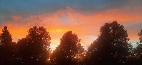 playful_megs OnlyFans - Free Access to 32 Videos & 49 Photos Onlyfans Free Access