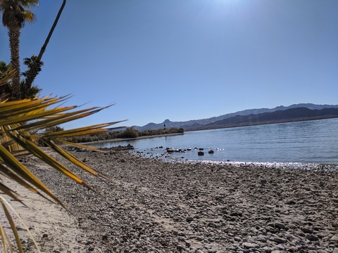 pureflamingo1998 OnlyFans - Free Access to 32 Videos & 49 Photos Onlyfans Free Access