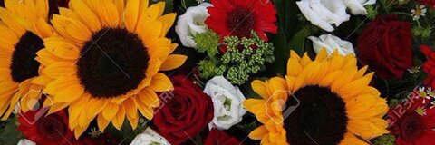 queenbeeisis OnlyFans - Free Access to 32 Videos & 49 Photos Onlyfans Free Access