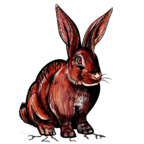 redrabbit6969 avatar