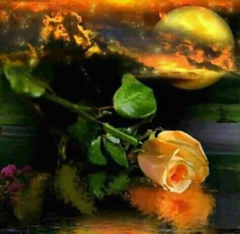 reinacaliente OnlyFans - Free Access to 32 Videos & 49 Photos Onlyfans Free Access