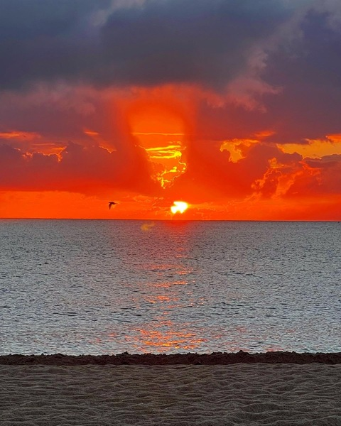 romanlustx OnlyFans - Free Access to 32 Videos & 49 Photos Onlyfans Free Access