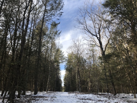 sabritheking OnlyFans - Free Access to 81 Videos & 262 Photos Onlyfans Free Access