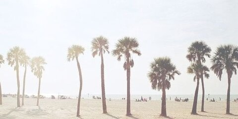 sapphirerose OnlyFans - Free Access to 32 Videos & 49 Photos Onlyfans Free Access