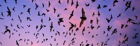 satanstrapqueen OnlyFans - Free Access to 32 Videos & 49 Photos Onlyfans Free Access