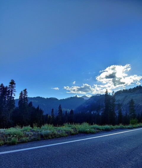 scarlettbtch OnlyFans - Free Access to 66 Videos & 804 Photos Onlyfans Free Access