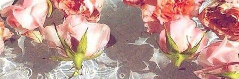 sensualopalxxx OnlyFans - Free Access to 32 Videos & 82 Photos Onlyfans Free Access