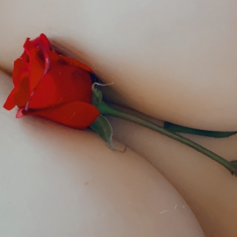 shearheart87 OnlyFans - Free Access to 67 Videos & 290 Photos Onlyfans Free Access