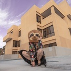 sinfulslothslut profile picture