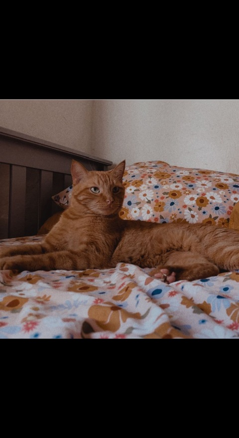 sirentears OnlyFans - Free Access to 32 Videos & 49 Photos Onlyfans Free Access