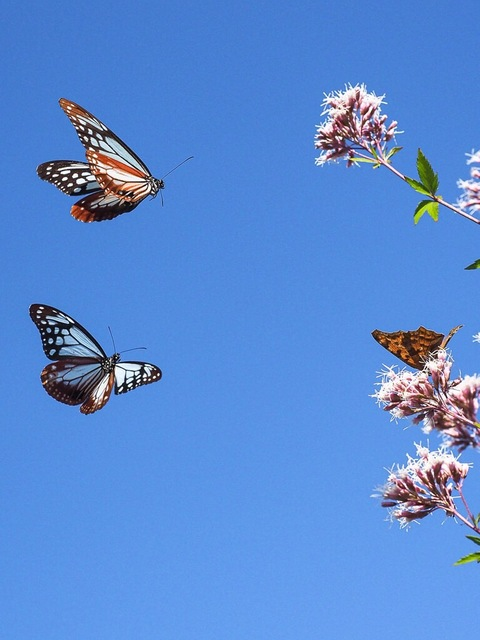 skinoutlynx-free OnlyFans - Free Access to 59 Videos & 147 Photos Onlyfans Free Access