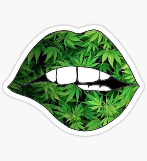 snoopkitten420 OnlyFans - Free Access to 32 Videos & 49 Photos Onlyfans Free Access