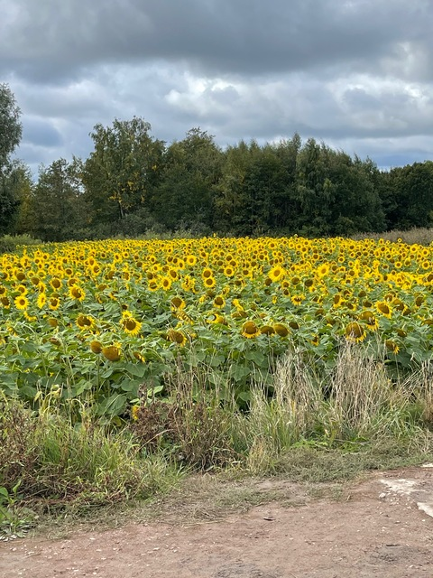 snuffsan OnlyFans - Free Access to 32 Videos & 49 Photos Onlyfans Free Access