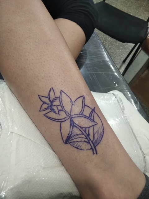 sofiam OnlyFans - Free Access to 32 Videos & 49 Photos Onlyfans Free Access