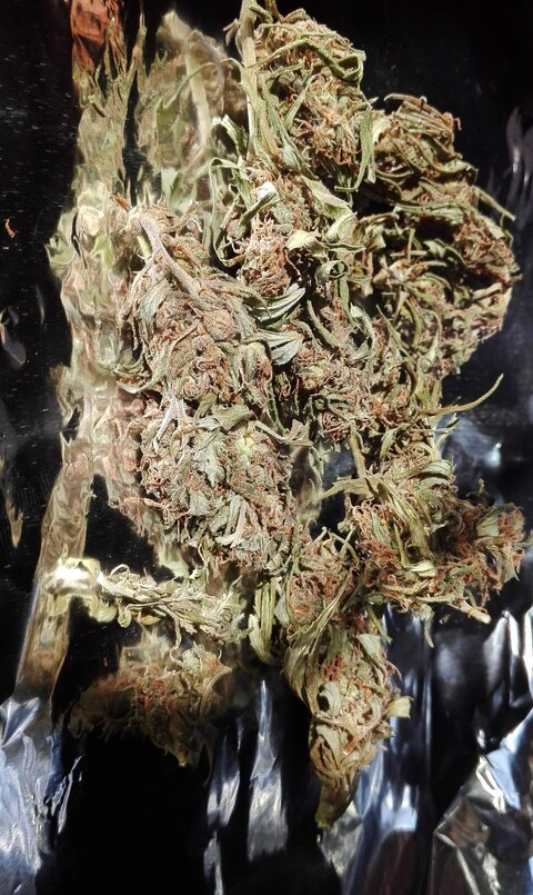 soleda OnlyFans - Free Access to 32 Videos & 49 Photos Onlyfans Free Access