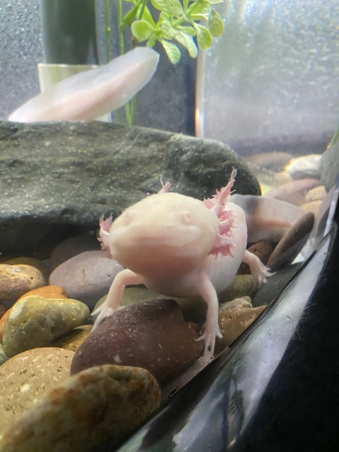 somkatz OnlyFans - Free Access to 32 Videos & 49 Photos Onlyfans Free Access