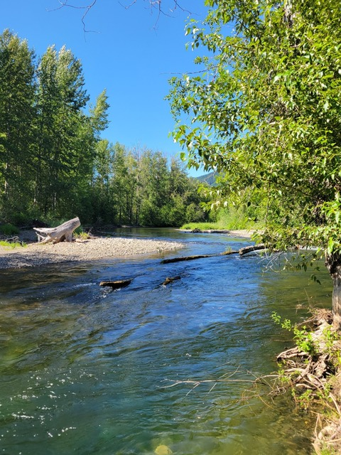 stayandplay21 OnlyFans - Free Access to 32 Videos & 49 Photos Onlyfans Free Access