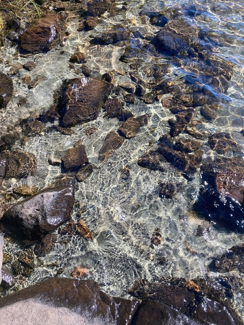 stonerrrbabe42000 OnlyFans - Free Access to 32 Videos & 49 Photos Onlyfans Free Access