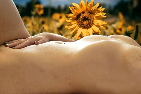 sukierae OnlyFans - Free Access to 32 Videos & 287 Photos Onlyfans Free Access