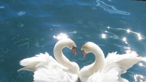 susie-xowie OnlyFans - Free Access to 32 Videos & 367 Photos Onlyfans Free Access