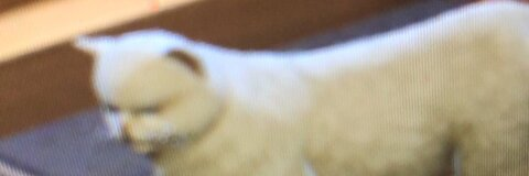 sweet77 OnlyFans - Free Access to 32 Videos & 49 Photos Onlyfans Free Access