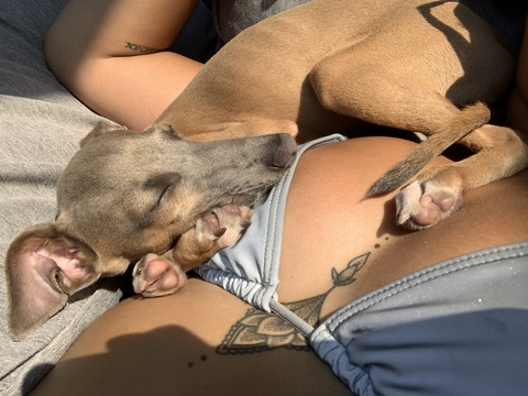 talia_88 OnlyFans - Free Access to 32 Videos & 49 Photos Onlyfans Free Access