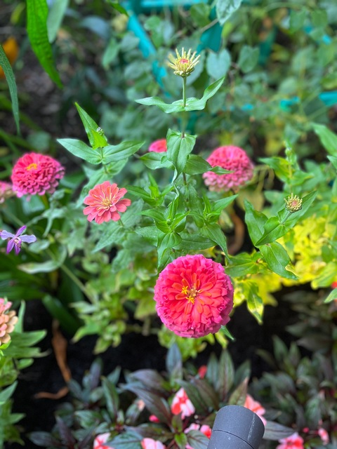 tattedbxbydoll OnlyFans - Free Access to 32 Videos & 49 Photos Onlyfans Free Access