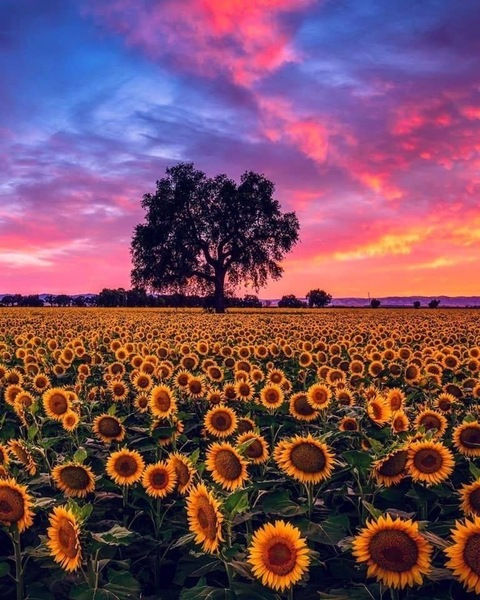 taybaybii420 OnlyFans - Free Access to 48 Videos & 485 Photos Onlyfans Free Access