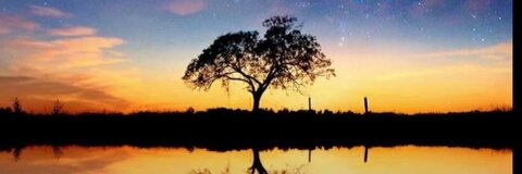 taybreezy OnlyFans - Free Access to 32 Videos & 49 Photos Onlyfans Free Access