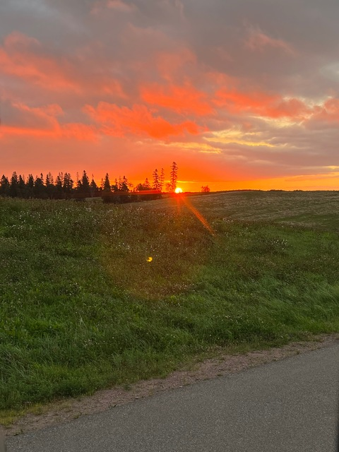 taylor_kate99vip OnlyFans - Free Access to 32 Videos & 49 Photos Onlyfans Free Access