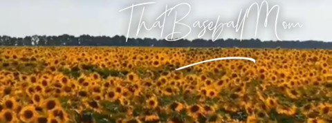 thatbaseballmom90 OnlyFans - Free Access to 357 Videos & 700 Photos Onlyfans Free Access