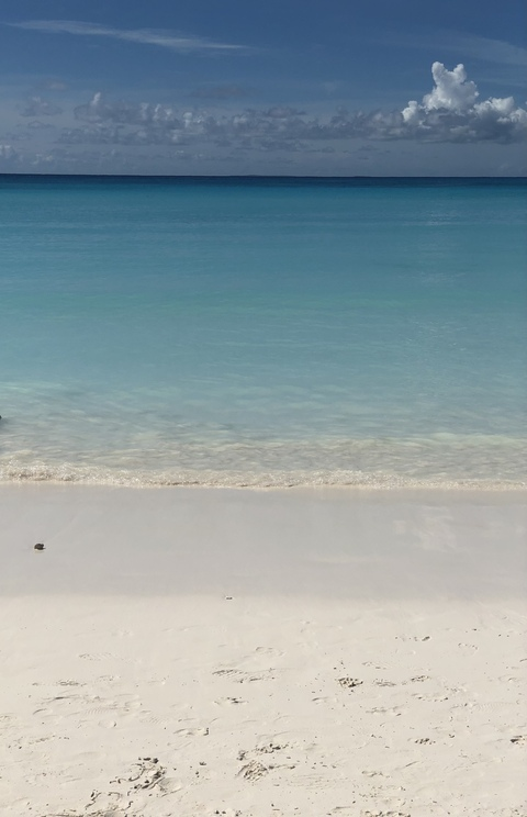 themillzyway OnlyFans - Free Access to 32 Videos & 49 Photos Onlyfans Free Access