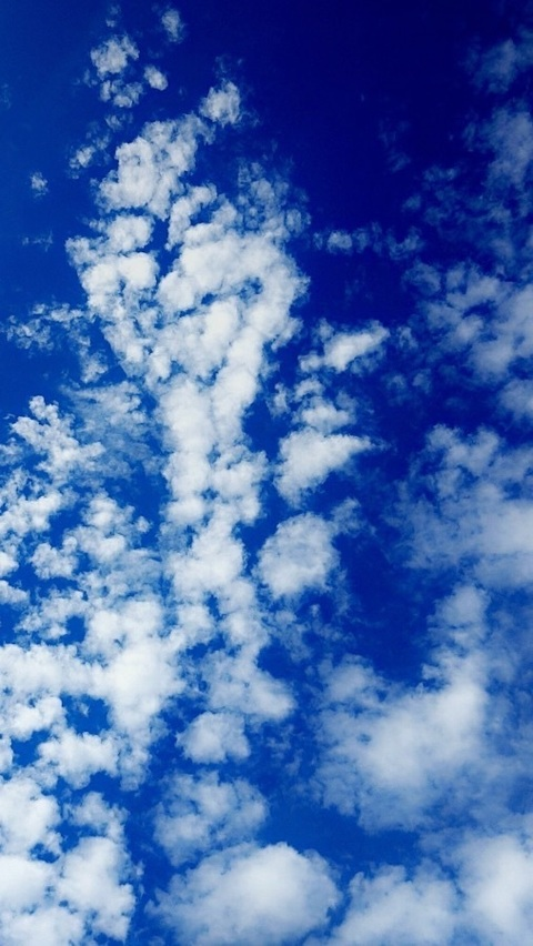 theonly_sammymae OnlyFans - Free Access to 32 Videos & 49 Photos Onlyfans Free Access