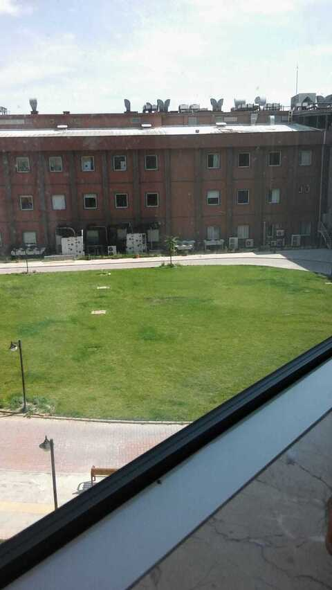 thesunny OnlyFans - Free Access to 32 Videos & 49 Photos Onlyfans Free Access