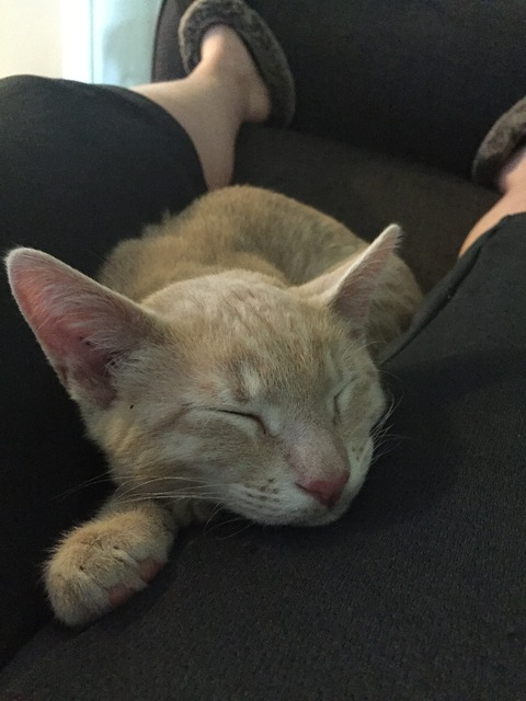 thetitshaveeyes OnlyFans - Free Access to 32 Videos & 91 Photos Onlyfans Free Access