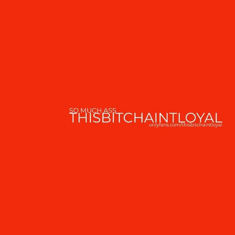 thisbitchaintloyal OnlyFans - Free Access to 32 Videos & 374 Photos Onlyfans Free Access