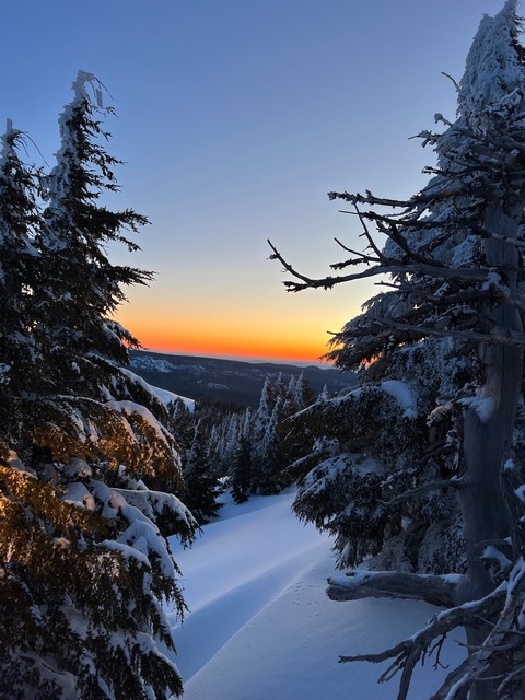 tinybitwaisted OnlyFans - Free Access to 32 Videos & 49 Photos Onlyfans Free Access