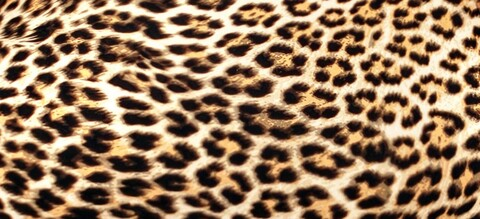 tsmonicakash OnlyFans - Free Access to 160 Videos & 267 Photos Onlyfans Free Access